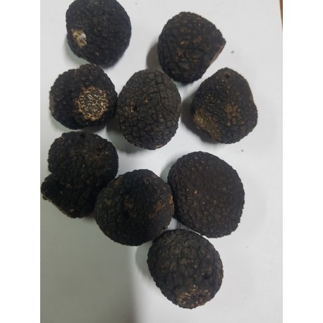 Truffe Noire Du Périgord Fraîche - Petites Truffes - moins de 20g - 100g