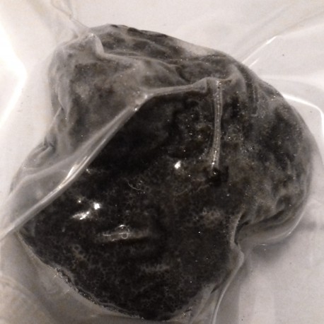 Truffe Noire du Périgord surgelée-50g