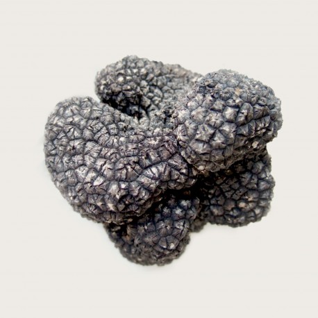 Truffe Fraîche d'Eté